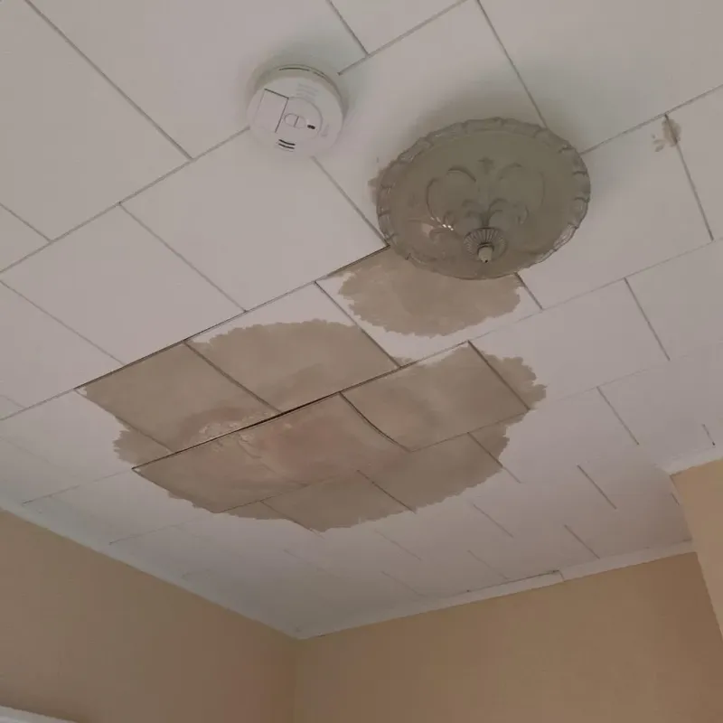 Ceiling Water Damage Repair in Biscayne Park, FL