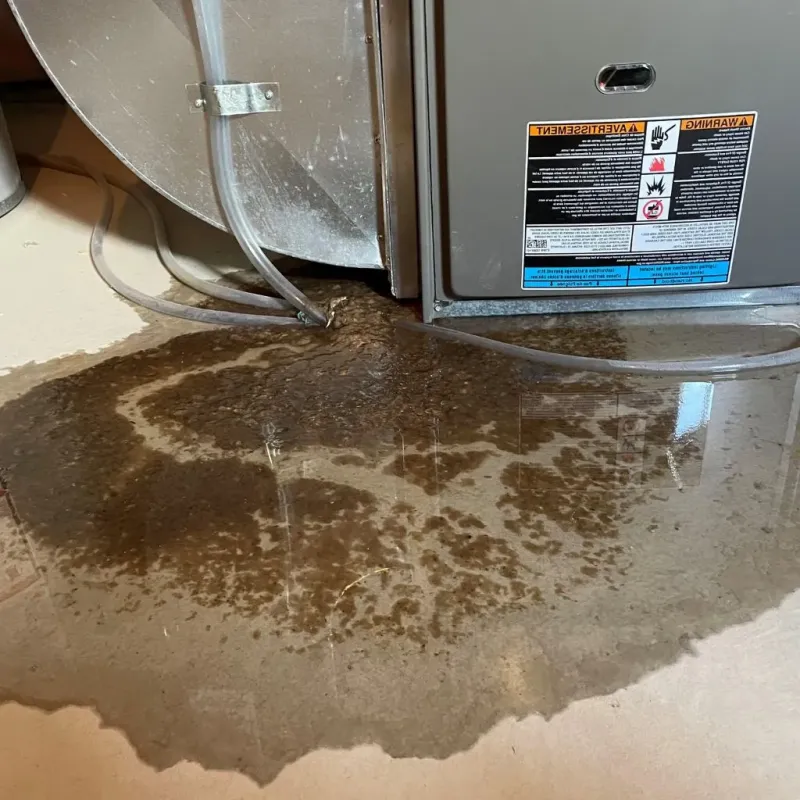 Pipe Burst and Leak Restoration in Biscayne Park, FL